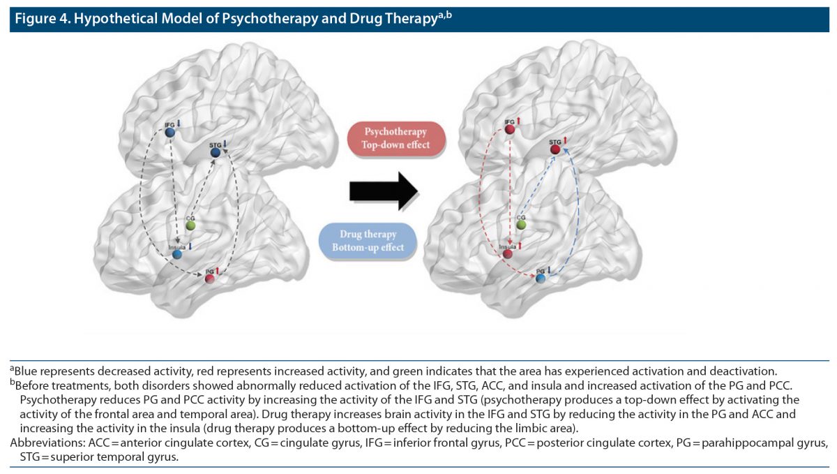 Cureus, Structural MRI Brain Alterations in Borderline Personality Disorder  and Bipolar Disorder