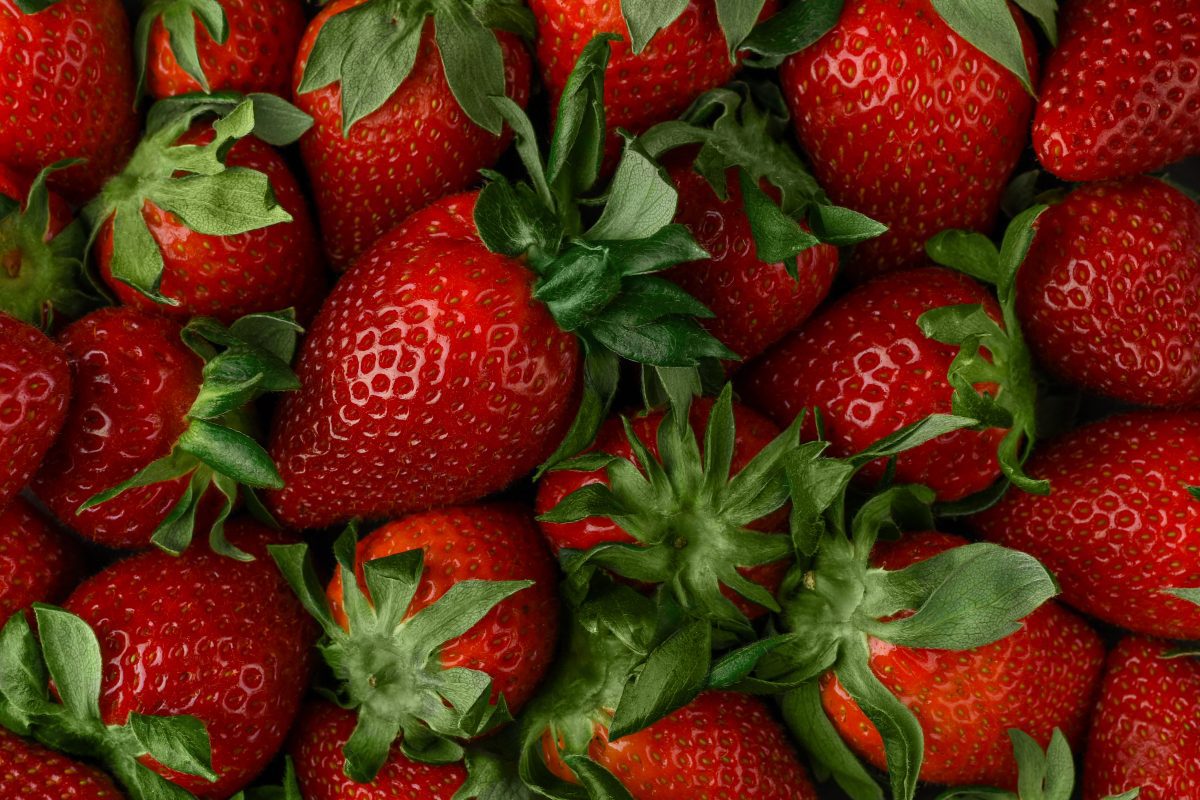 Study on Strawberries and Brain Health Bears Fruit