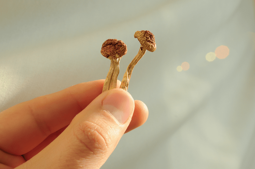 Psilocybin disrupts brain networks related to reflective thinking, offering potential therapeutic benefits for mental health issues.