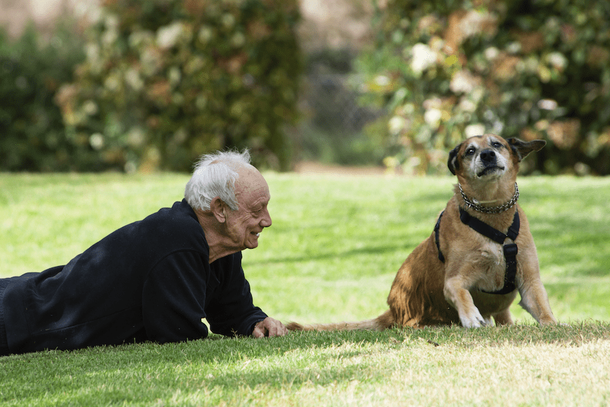 Aging brings increased challenges, including higher risks of cognitive decline from shingles and menopause, while dog ownership might help.